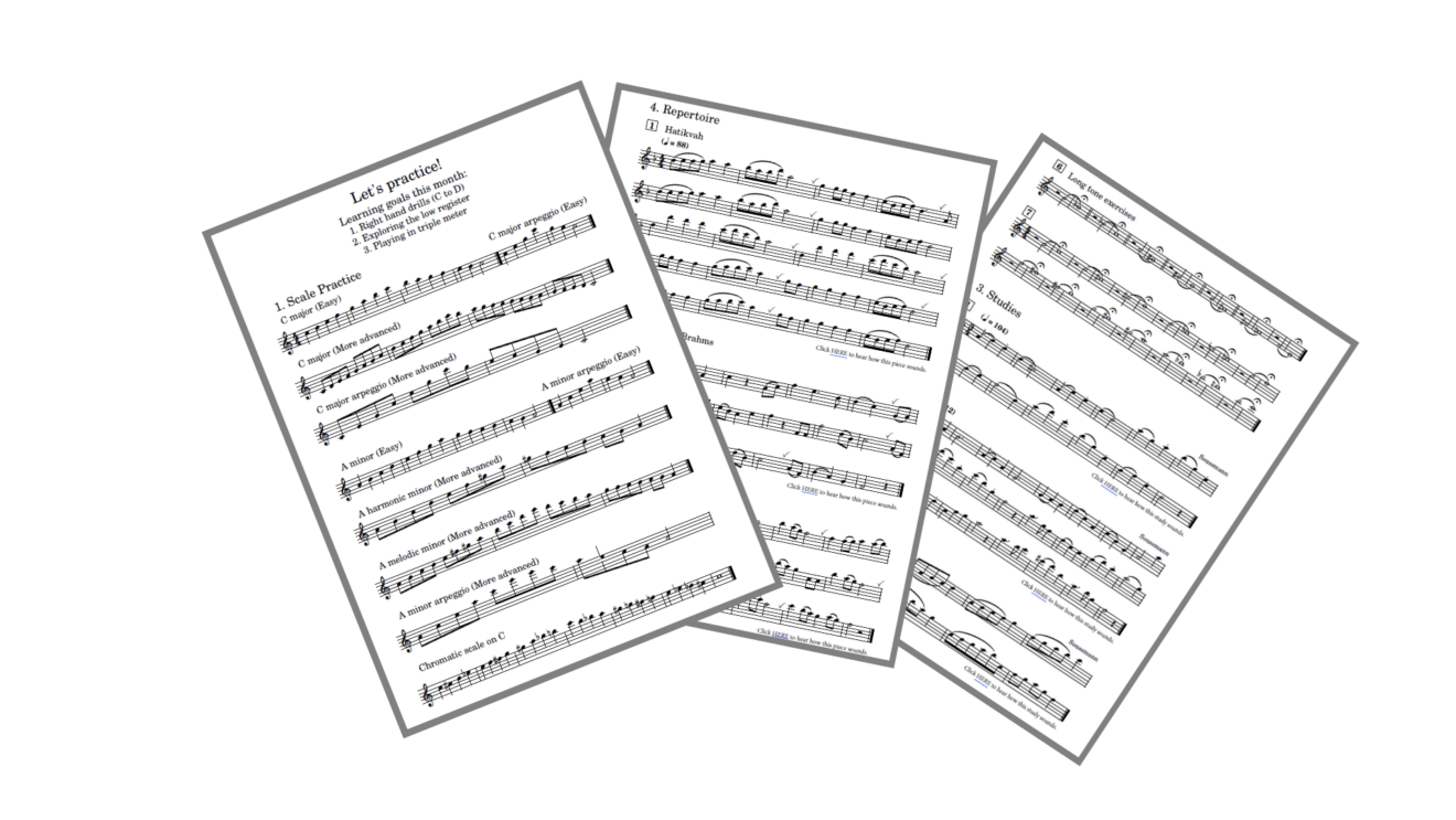 Let’s Practice, Together! (Developing) The Flute Practice